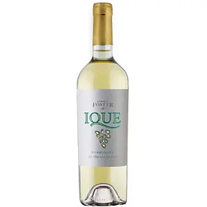 Vinho Enrique Foster Ique Torrontés 750ml