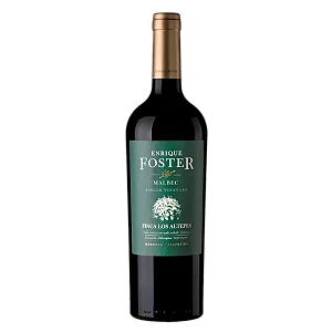 Vinho Enrique Foster Los Altepes Malbec 750ml