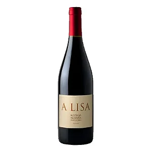 Vinho Bodega Noemia A Lisa