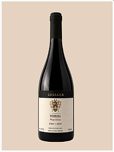 Vinho Gheller Barbera 2023/2024