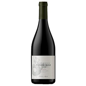 Vinho Vinos De Mar Maldonado Tannat by Michelini i Mufatto