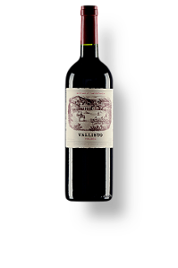 Vinho Vallisto Malbec Salta