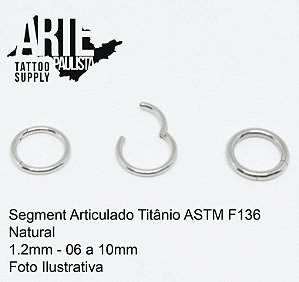 Segment Articulado Titânio ASTM F136