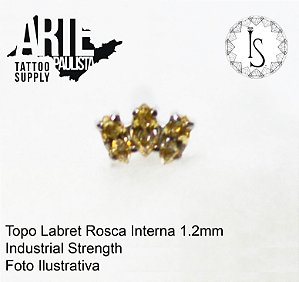 Topo Labret Titânio ASTM F136 - Linha IS Modelo 13