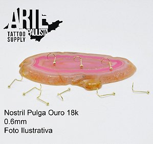 Nostril Pulga Ouro 18k