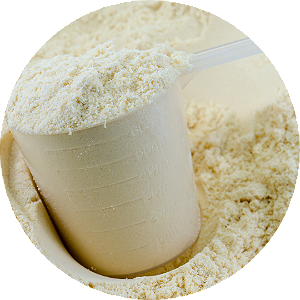 Whey 100% Isolado