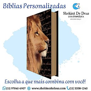 BIBLIA CAPA DURA JOVEM COM HARPA