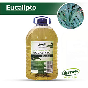 1 UNID - Óleo Essencial de Eucalipto Citriodora 5L (unidade)