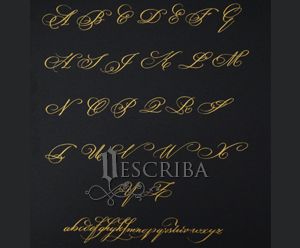 Manuscrito Alfabeto Copperplate - Rebuscado - D02
