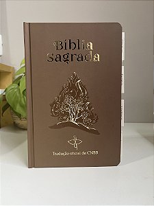 BÍBLIA MARROM SARÇA ARDENTE - LUXO COM ABAS