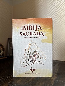 BÍBLIA "BÁSICA" - COM ABAS