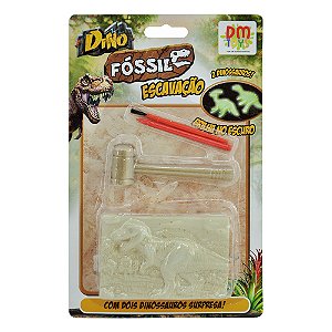 DINOSSAURO FOSSEIS ESCAVAÇÃO