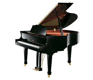 Piano De Cauda Ritmüller R9 Preto com Pedal Triplo e Banqueta Fixa com Compartimento - 5 Anos de Garantia
