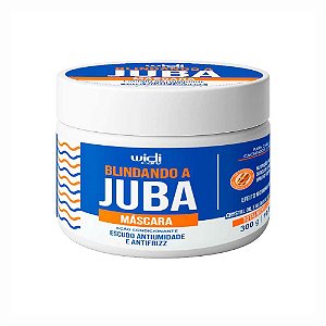 MÁSCARA BLINDANDO A JUBA ESCUDO ANTIUMIDADE E ANTIFRIZZ 300G 4467 WIDI CARE