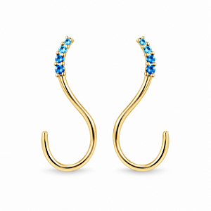 Brinco Banhado a Ouro - BR1889