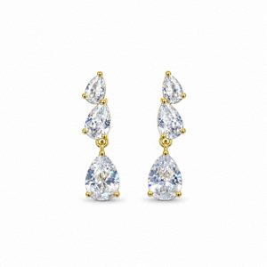 Brinco Banhado a Ouro - 48803