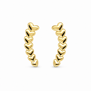 Brinco Banhado a Ouro - BR250