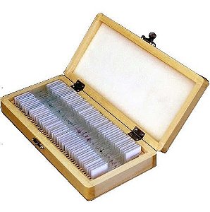 Kit De Lâminas Preparadas Para Ensino Medio/Fundamental Com 50 Peças