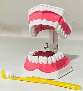 Modelo Anatômico Arcada Dentária c/ Língua e escova