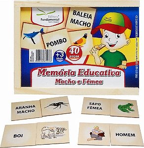 Memória Educativa Macho E Fêmea E Suas Escritas
