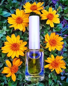 Fluido Nutritivo Unhas Fortes - 20ml