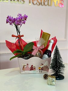 Cesta com cartão duplex modelo Micro onda - Código 0426