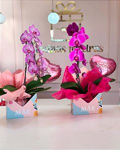 Cesta com orquídea natural dia das mães - Código 0450