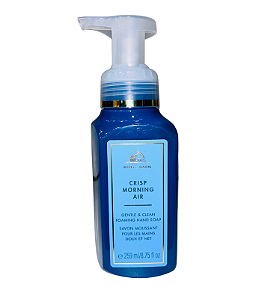 Sabonete Líquido Bath & Body Works – Crisp Morning Air 240ml