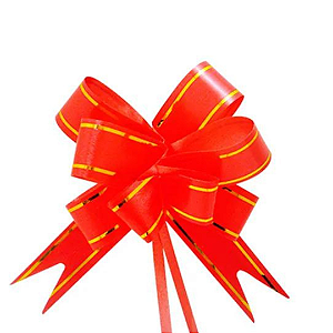 Laço Fácil Vermelho M 18x390mm Best Unidade