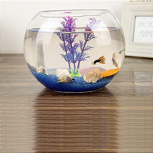 Aquario De Vidro Redondo Grande 15x19cm 402 Crystalis