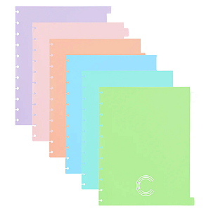 Divisória Tom Pastel Grande 6 Matérias CIGD4007 Caderno Inteligente
