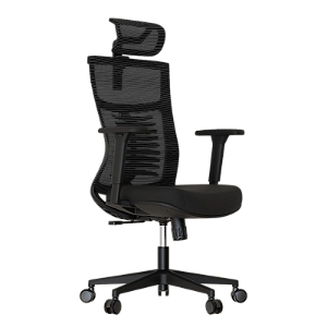 Cadeira Ergonômica Elements Vertta