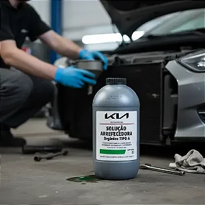 Aditivo Radiador Verde Arrefecimento Original Kia Unidade