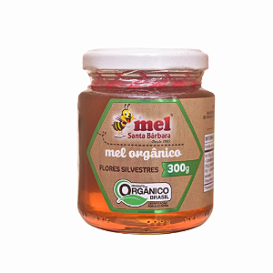 Mel orgânico santa Barbara vidro com 300 g