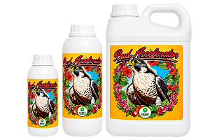 Bud Accelerator High Nutrients – Acelerador de Transição e Início de Floração