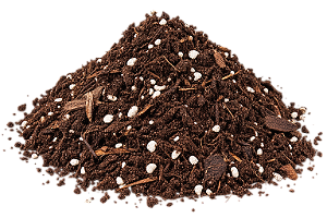 Substrato Carolina Soil Padrão 45 Litros