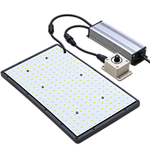 BIOLEDZ Quantum Board 80W BIVOLT