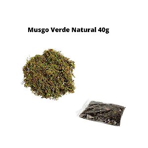 SACO DE MUSGO PP 40 GR