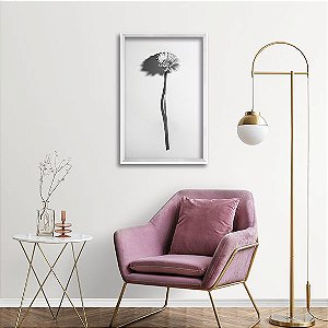 Gerbera