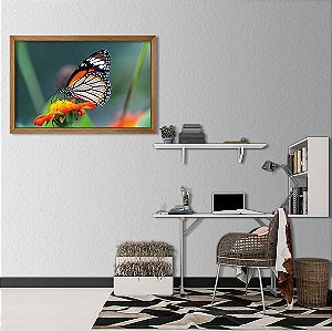 Borboleta na Flor
