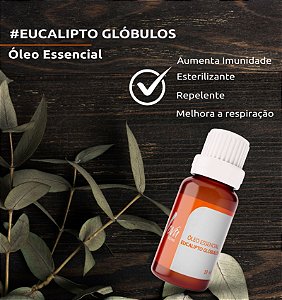 ÓLEO ESSENCIAL DE EUCALIPTO GLOBULUS