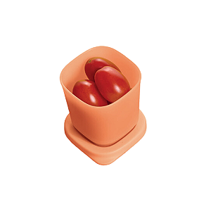 Tupperware Refri Line Mini 110ml Salmão
