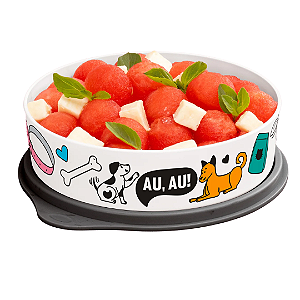 Tupperware Pratinho 500ml Petiscos