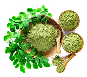Moringa em pó