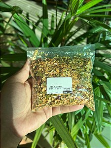 FIT DE FRANGO - 100g