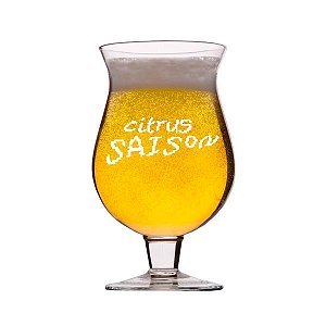 Kit Receita Cerveja Fácil Citrus Saison - 20 litros