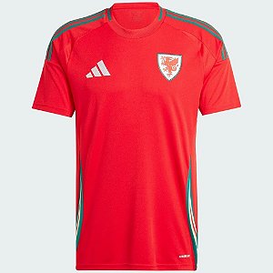 Nova Camisa País de Gales 1 Torcedor Masculina 2024 / 2025