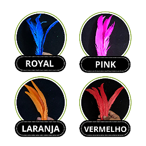 PENA DE RABO DE GALO