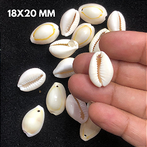 BÚZIOS MADREPÉROLA 18X20 MM ENT C2 25 GR