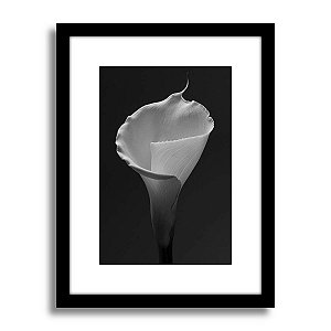 Quadro Decorativo Floral Botânico Calla PB Sala Quarto